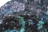 Rare Blue Buttgenbachite w/ Malachite & Cuprite - DR Congo #305424-2